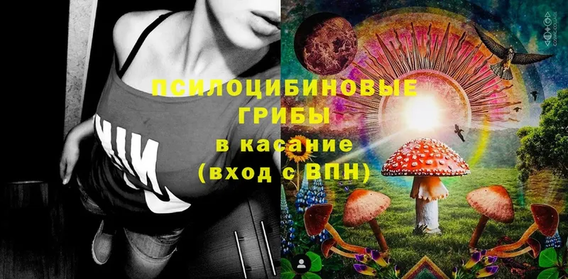 Псилоцибиновые грибы мухоморы  ссылка на мегу ТОР  Донской 